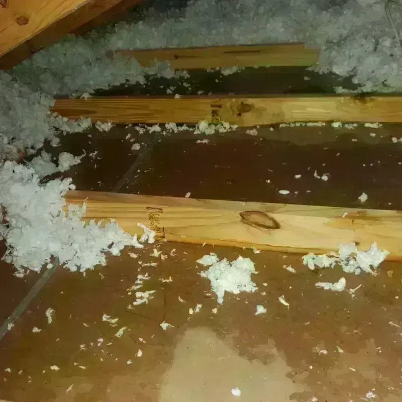 Attic Water Damage in Quitman County, GA