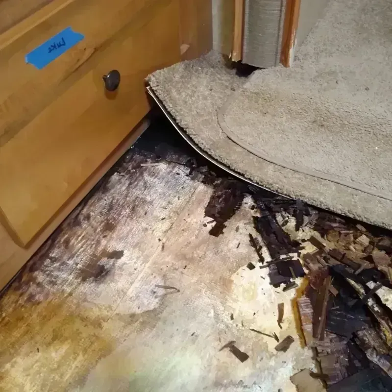 Best Wood Floor Water Damage Service in Quitman County, GA